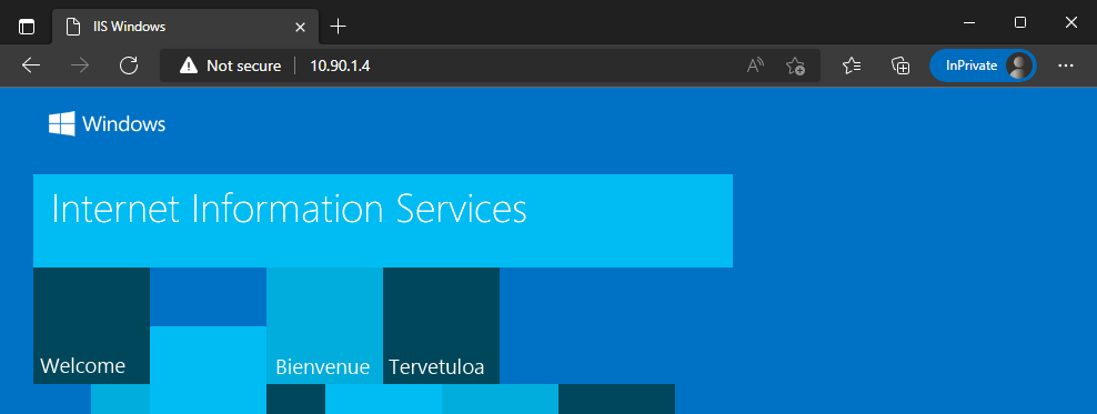 Validate_in_browser.png