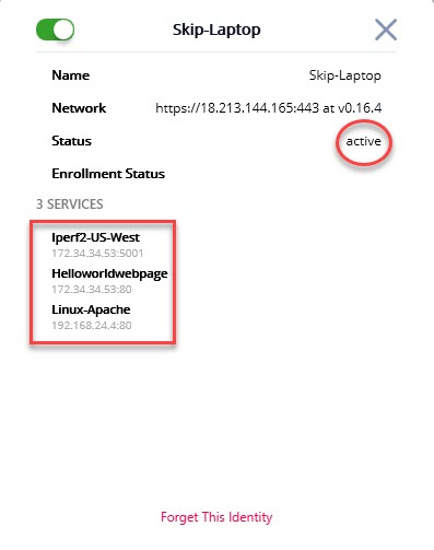 windows14.jpg